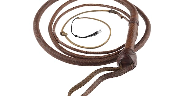 Indiana Jones' Whip Fetches $880,000 in Exciting Auction Event
