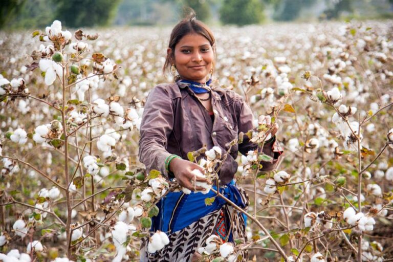 Textile Exchange Shifts Focus for 2030: Emphasizing Systems Change