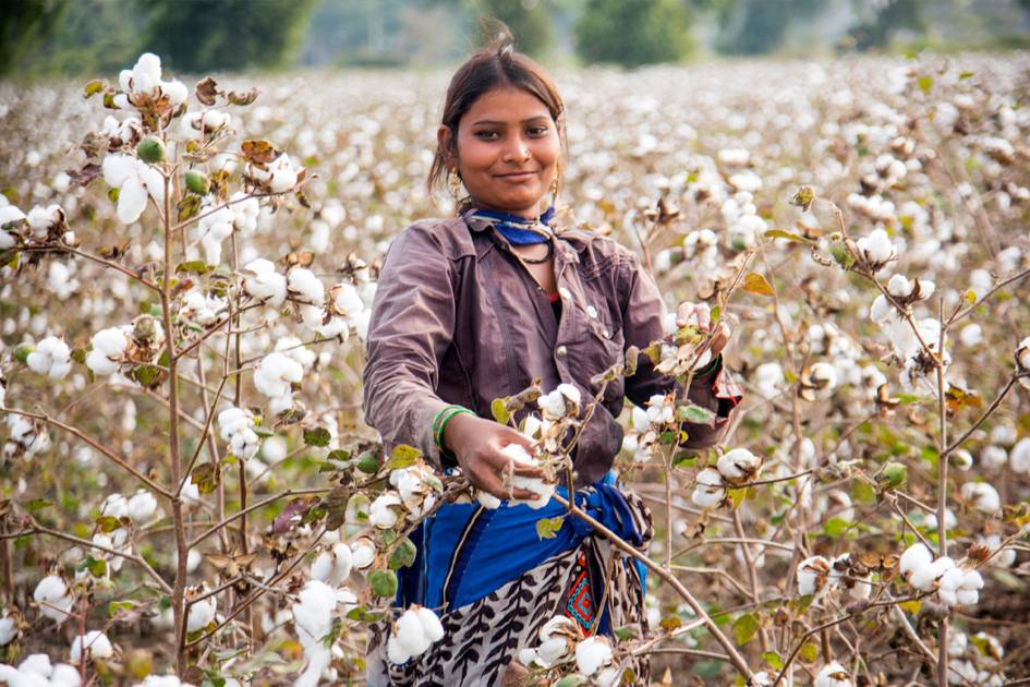 Textile Exchange Shifts Focus for 2030: Emphasizing Systems Change