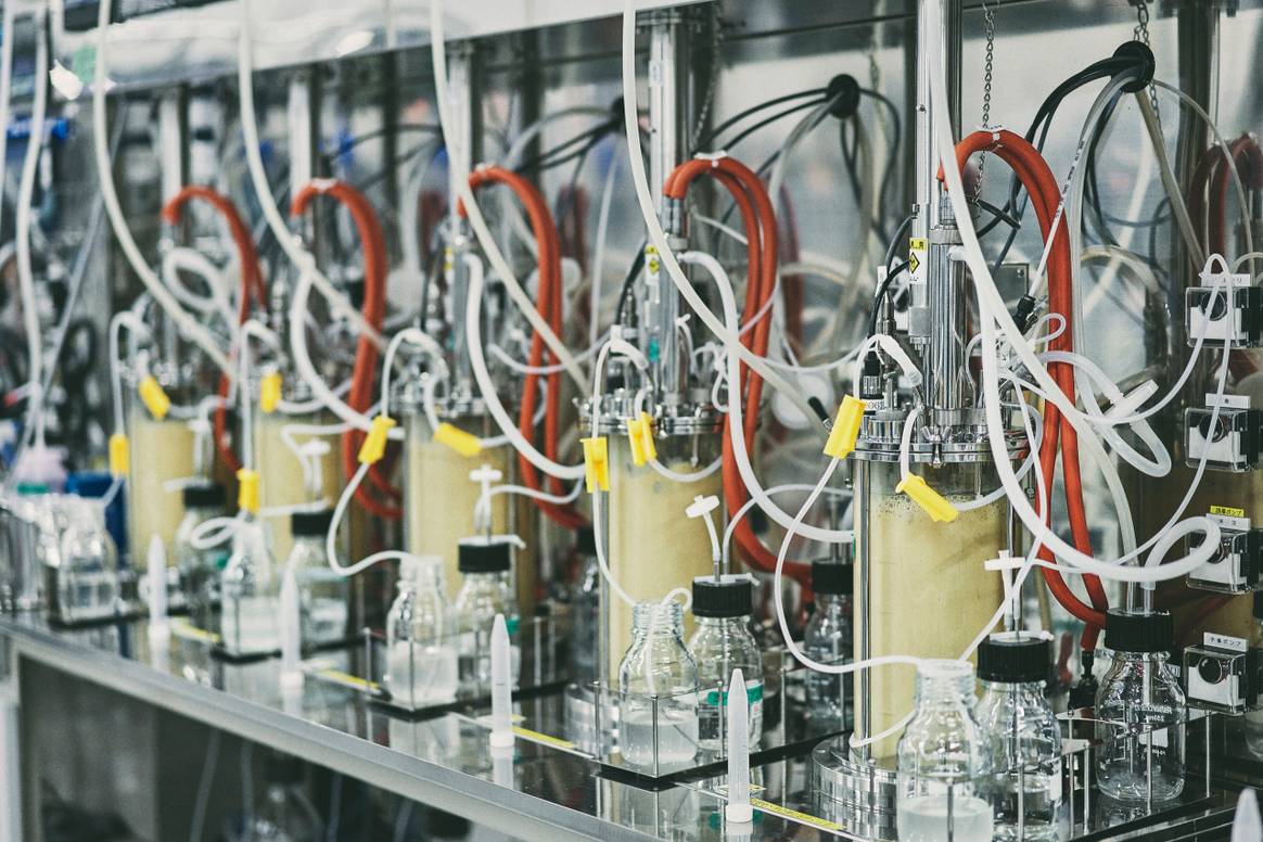 The fermentation process. The fermentation process.