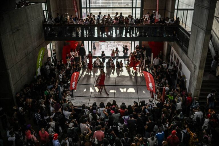 Venezuelan Fashion Lovers Challenge Tradition in Unique Outfit Showdown