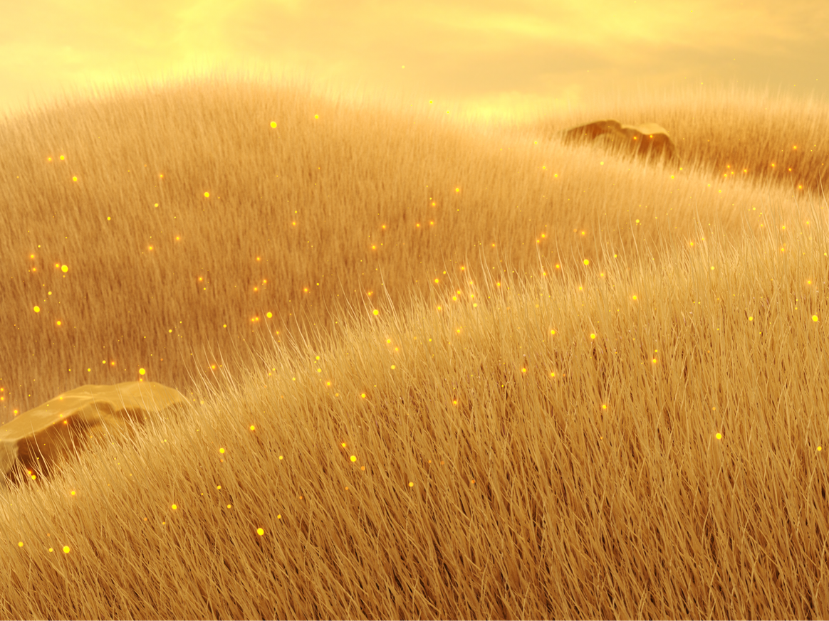 Maize color