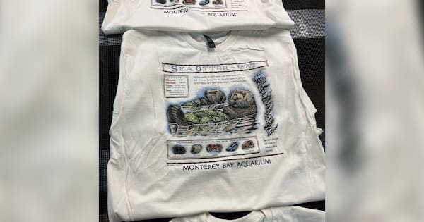 Taylor Swift's Sea Otter T-Shirt Raises $3.4 Million for Aquarium