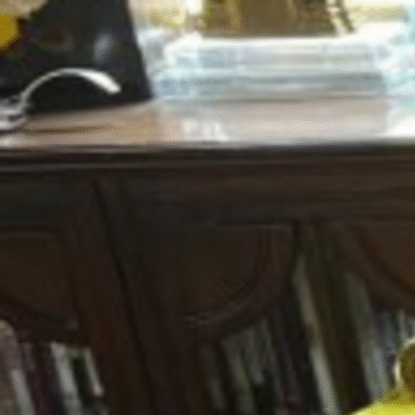 Varun Dhawan Celebrates Diwali at Home with Daughter Lara, Then Deletes Photo