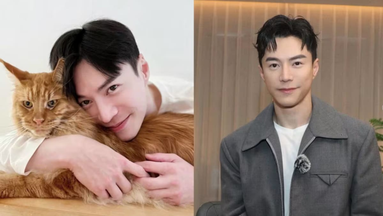 Lawrence Wong's Journey: From Low-Income Rental to Stardom