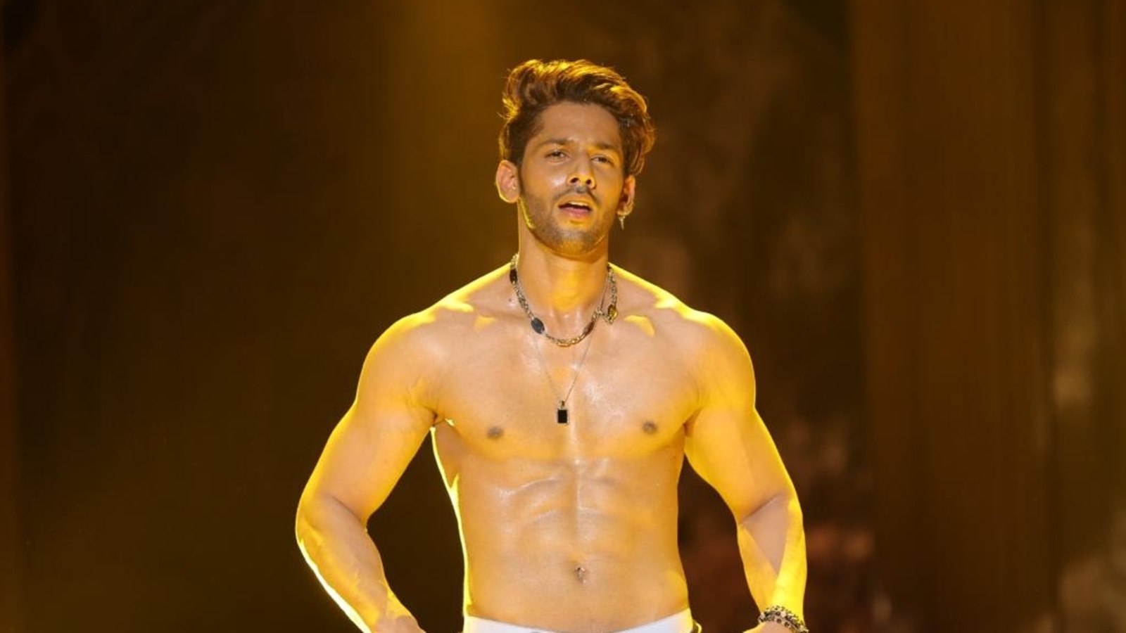 Baseer Ali Reflects on Bigg Boss 19 Journey: A Finale Beyond Reach