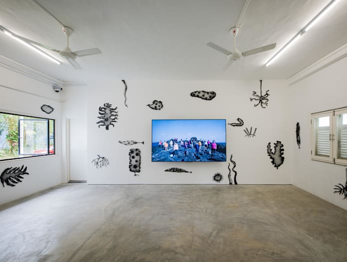 Installation view of Seaweed Story