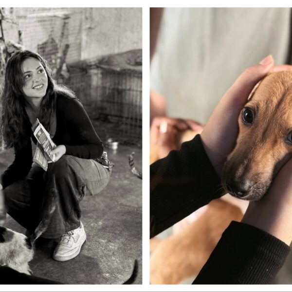 Aneet Padda Enjoys Heartwarming Day at Animal Shelter with Dogs and Cats