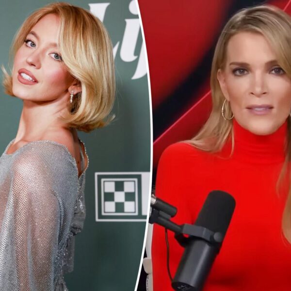 Megyn Kelly Critiques Sydney Sweeney's Sheer Silver Dress: 'I Object'
